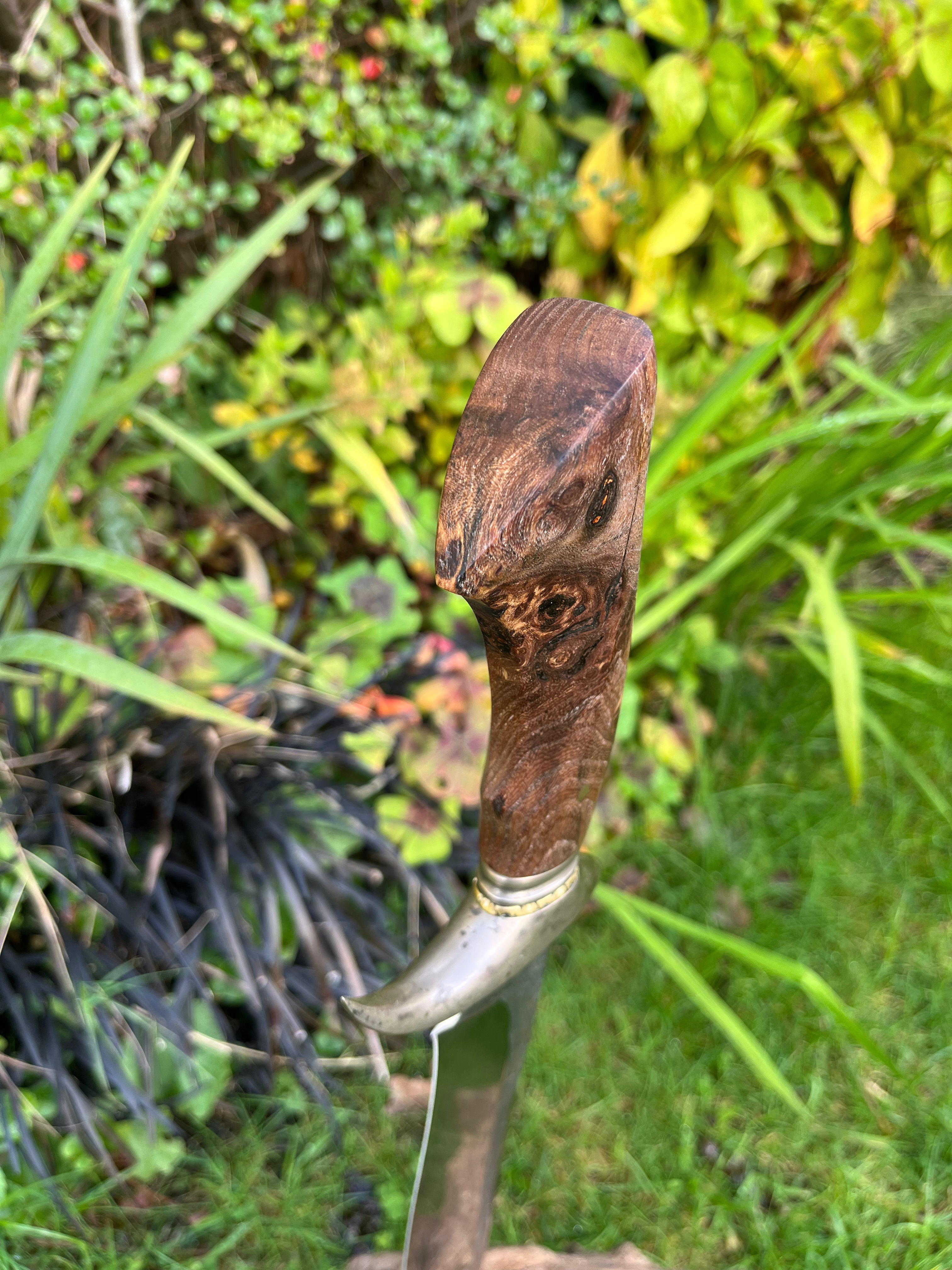 Large recurve bowie blade
