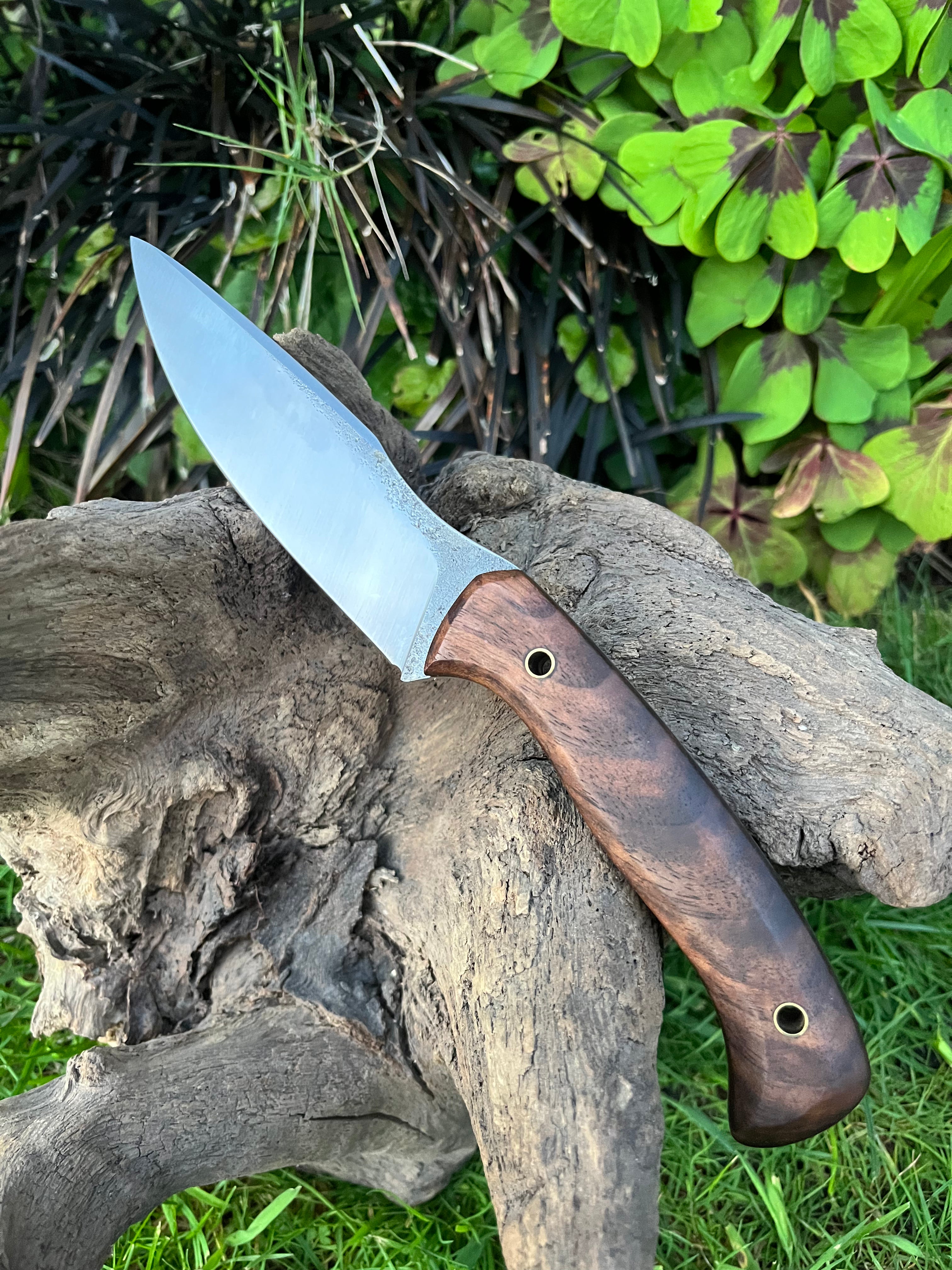 Medium sized hunter with leather sheath
