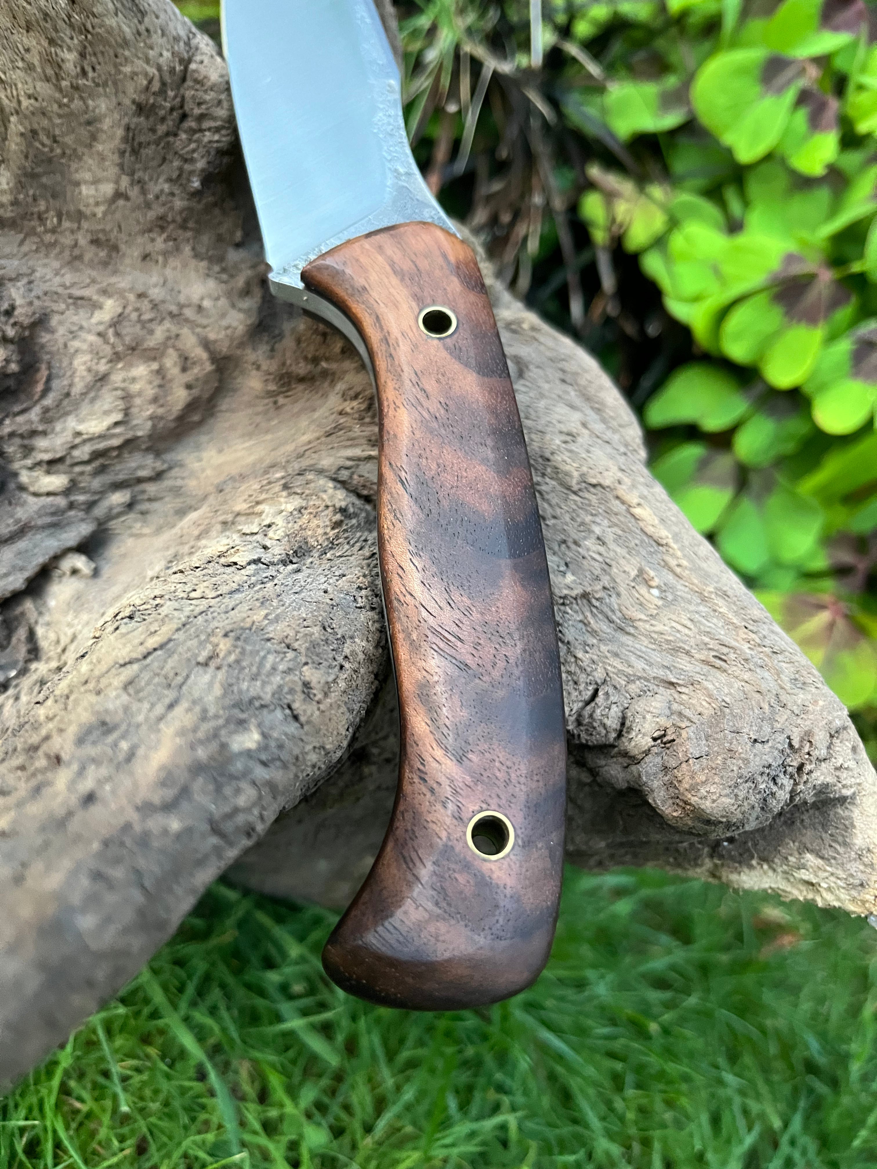 Medium sized hunter with leather sheath