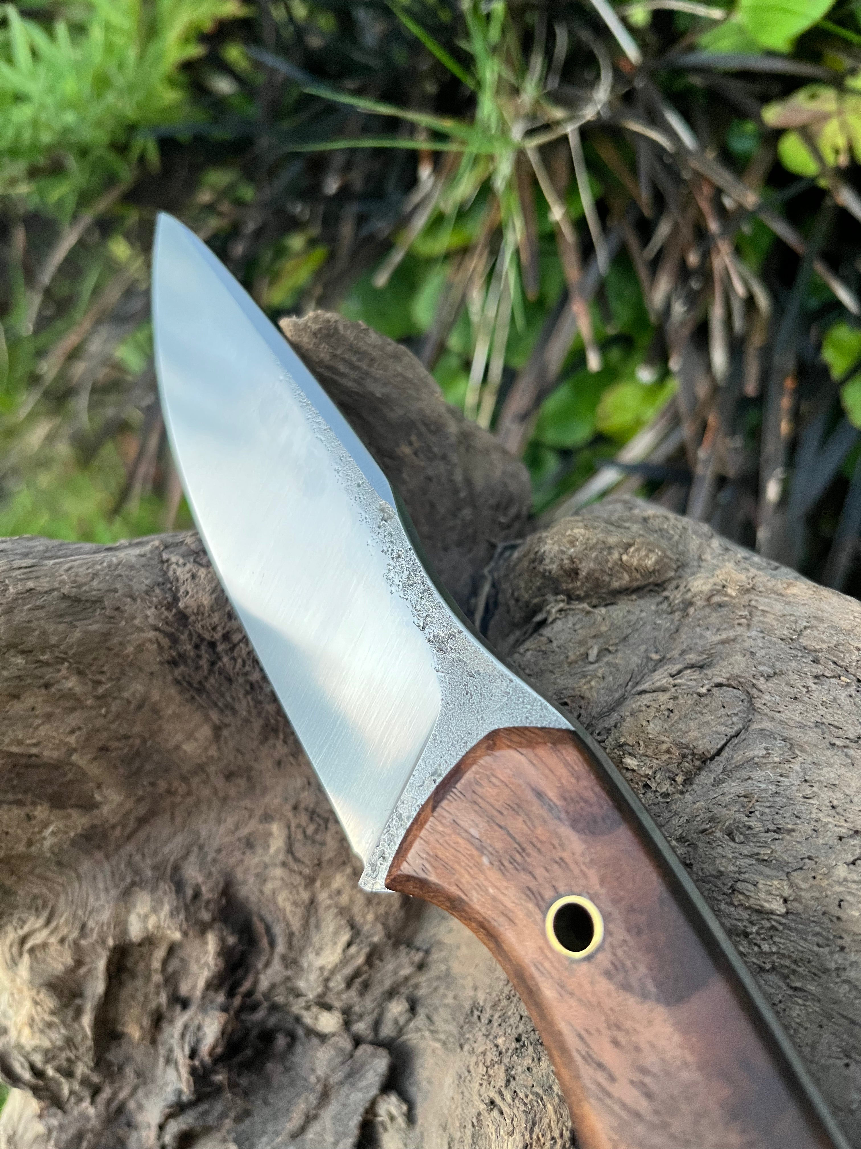 Medium sized hunter with leather sheath