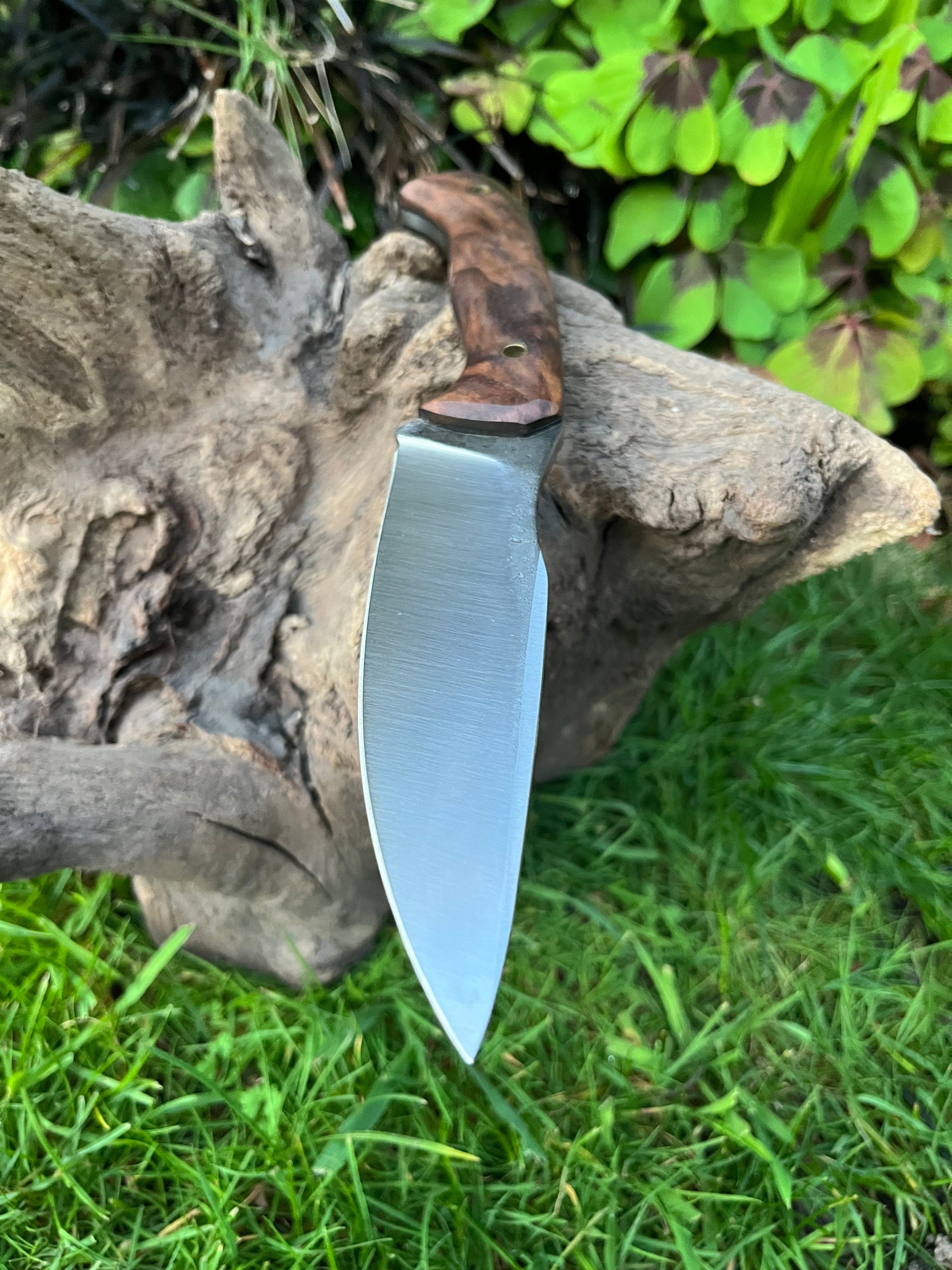 Medium sized hunter with leather sheath