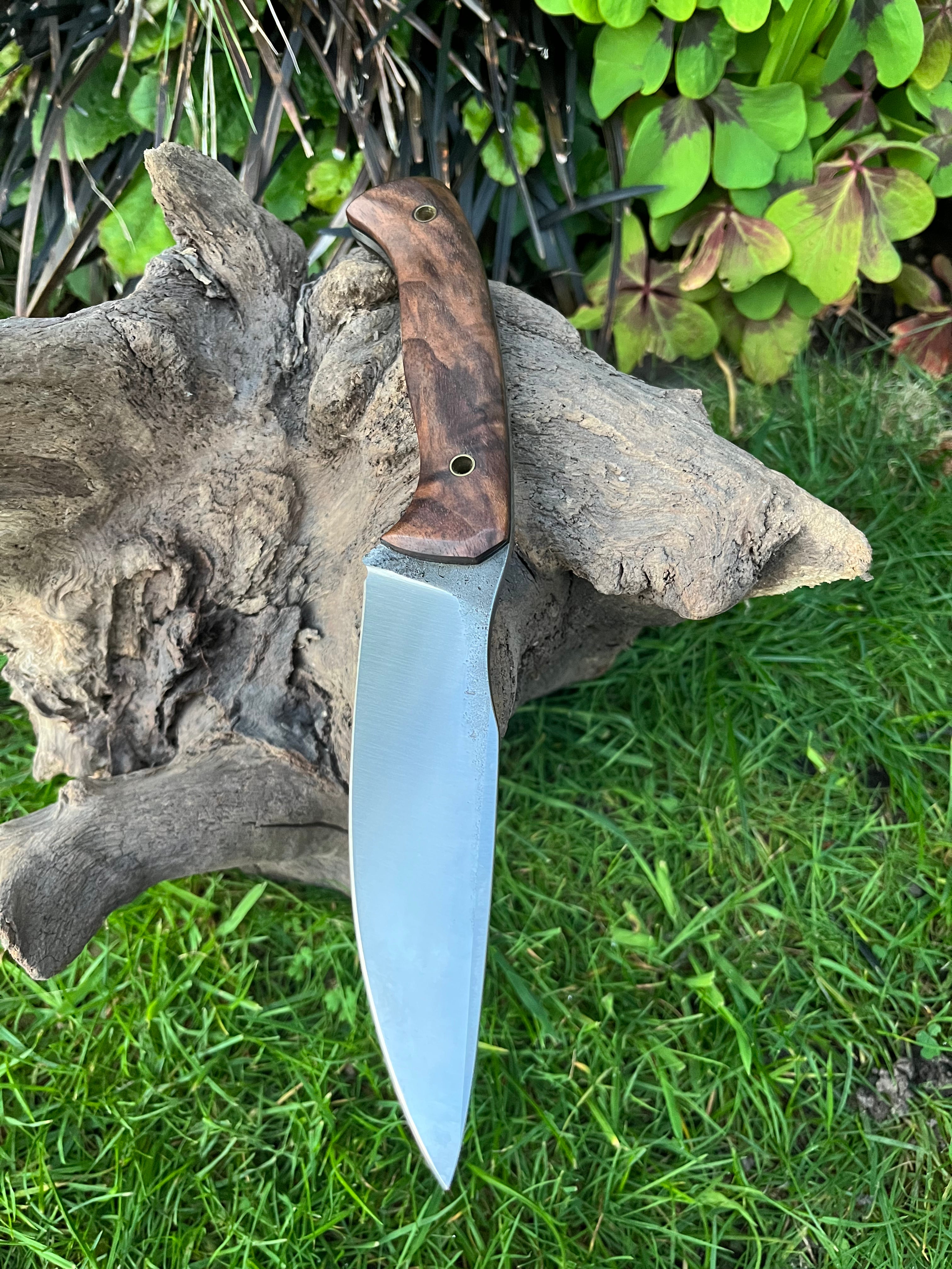 Medium sized hunter with leather sheath