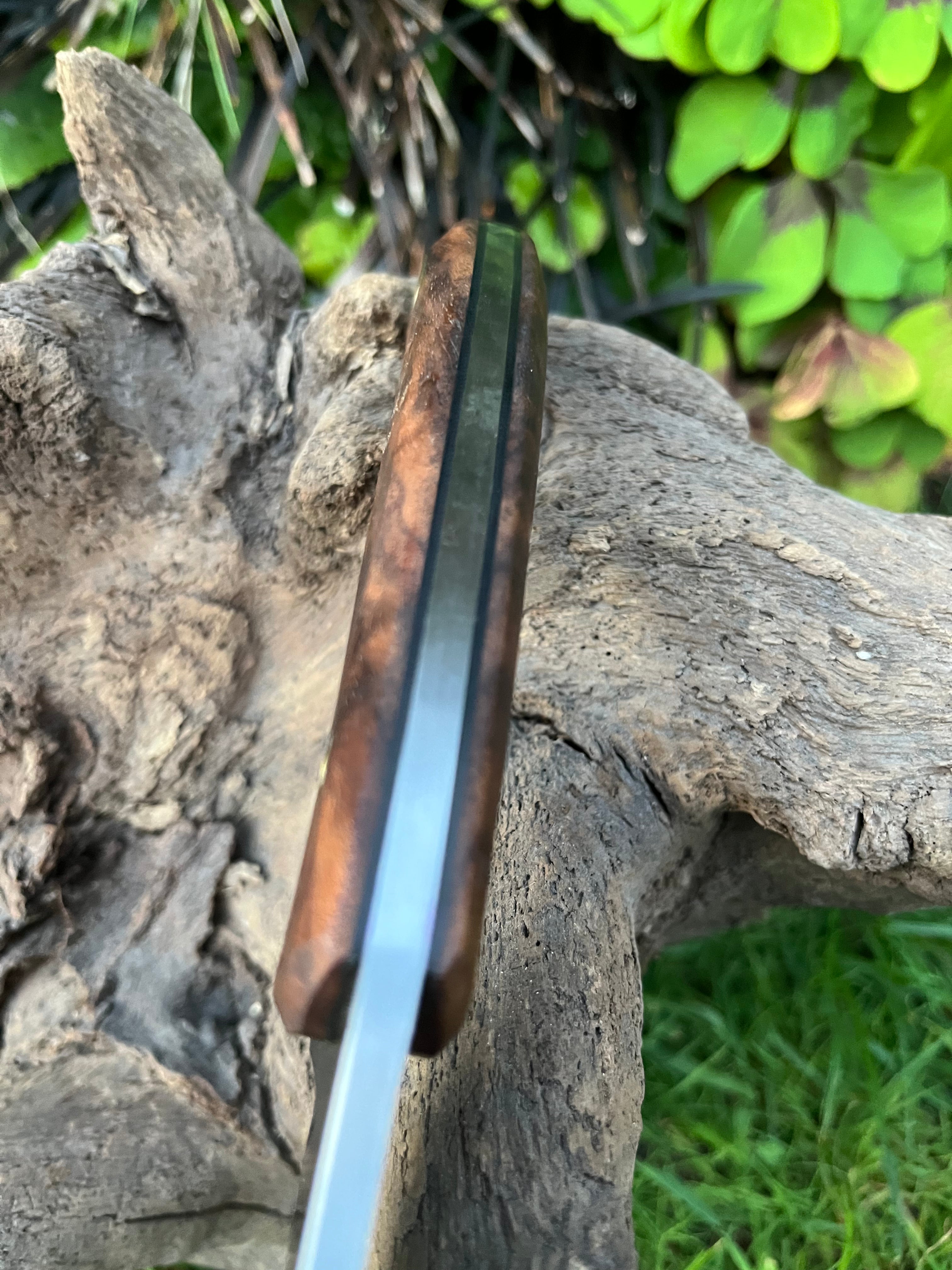 Medium sized hunter with leather sheath