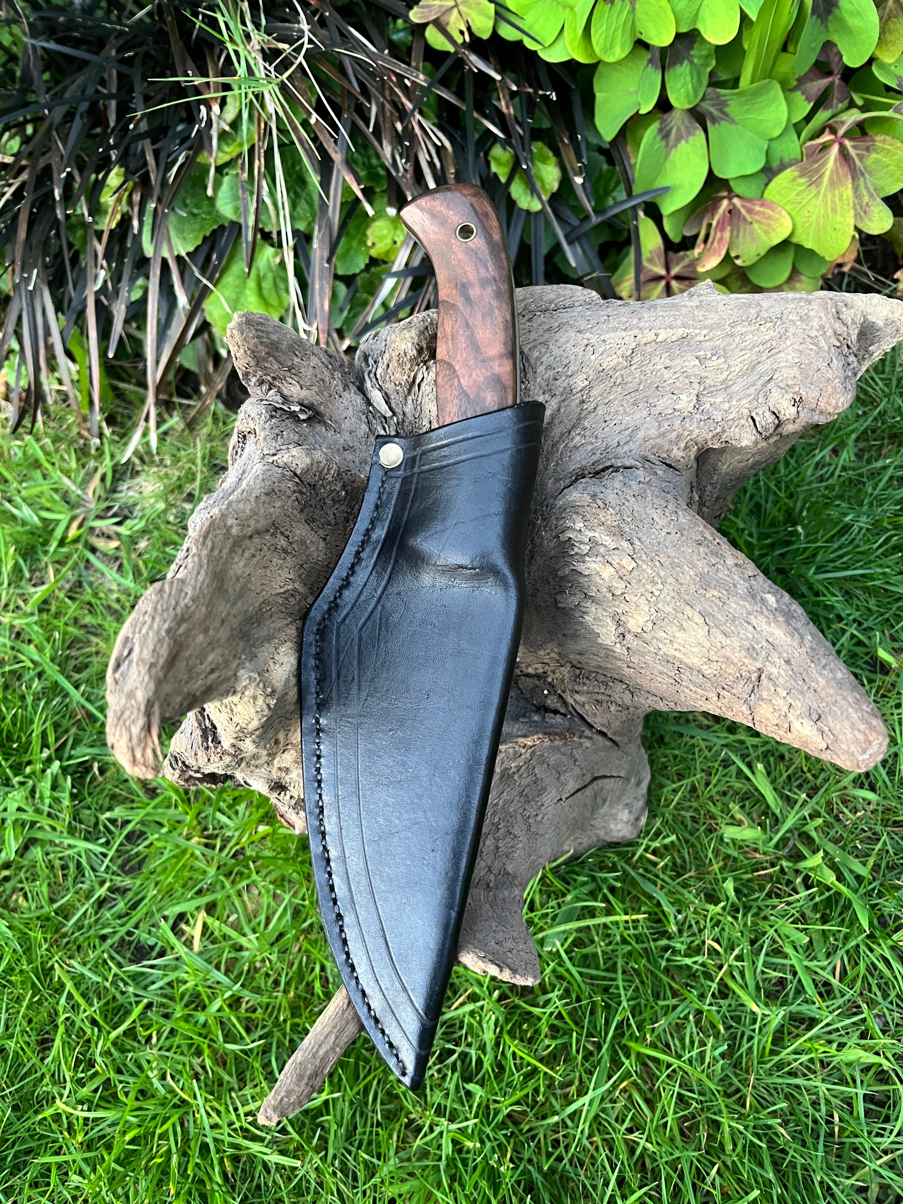 Medium sized hunter with leather sheath