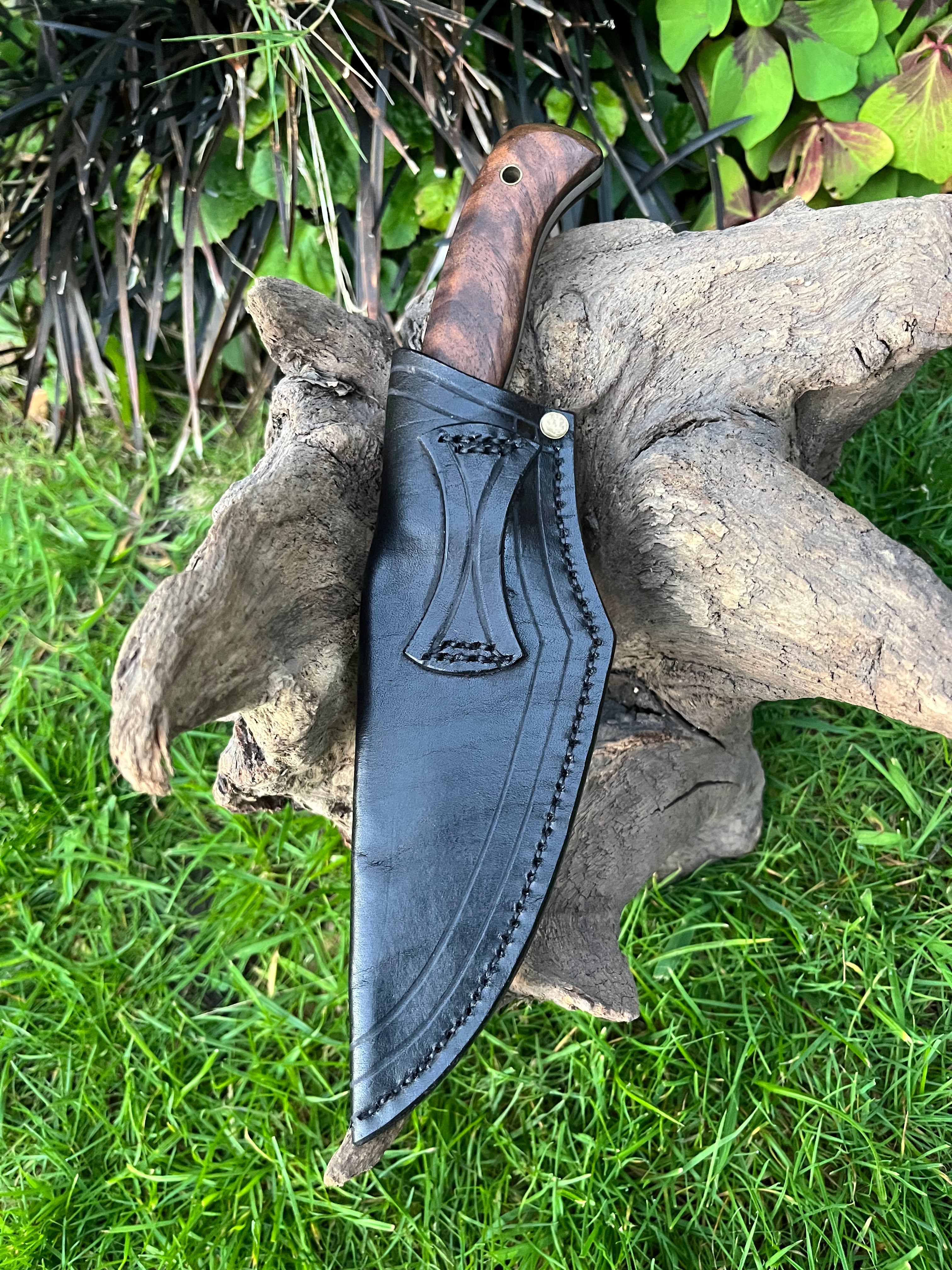 Medium sized hunter with leather sheath